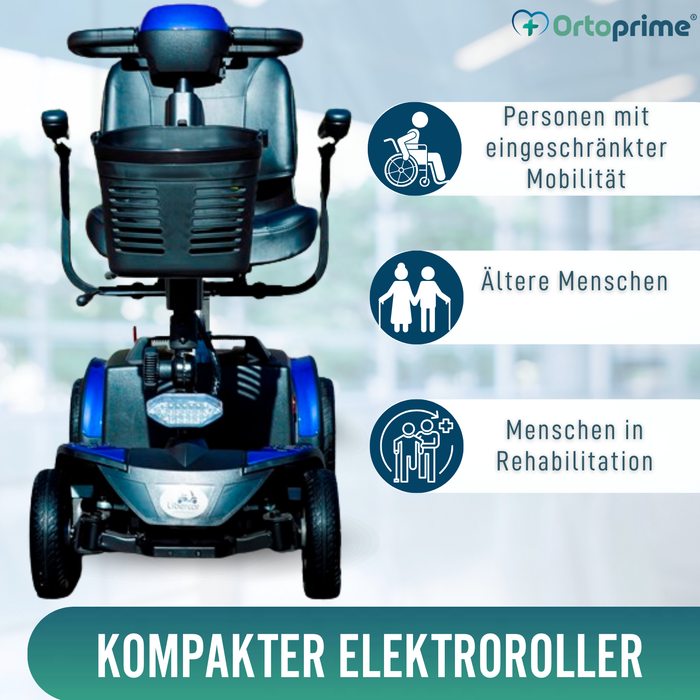 Elektrischer Scooter Kompakt & Abnehmbar | 4 Räder