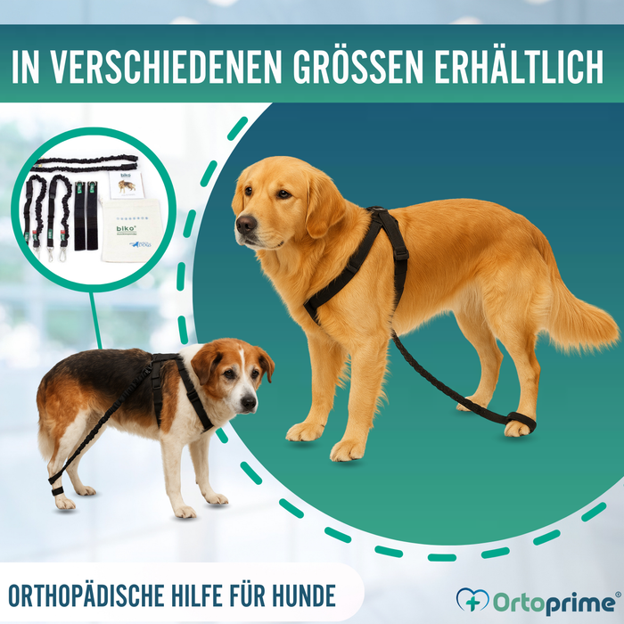 Gerät für Hundeataxie | Hilfe für Hunde