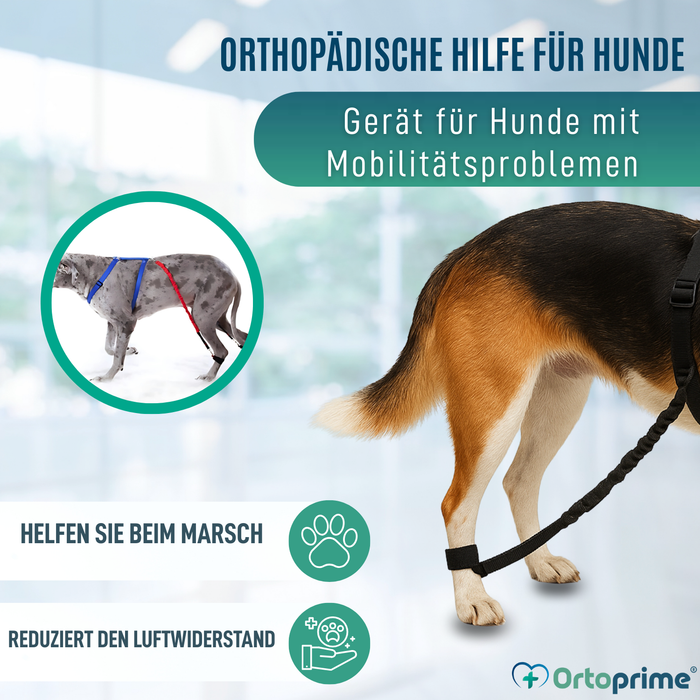 Gerät für Hundeataxie | Hilfe für Hunde
