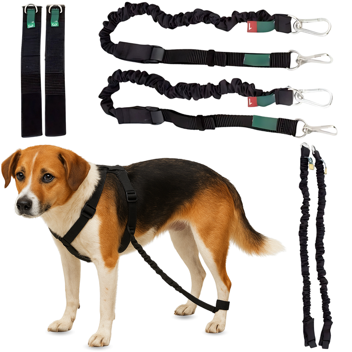 Gerät für Hundeataxie | Hilfe für Hunde
