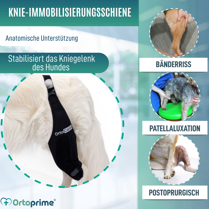 Knieimmobilisator für Hunde aus Neopren | 9 Größen