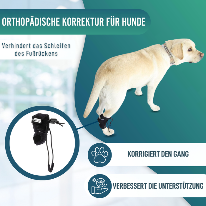 Propriozeptiver Korrektor für Hunde mit Knuckling | 5 Größen