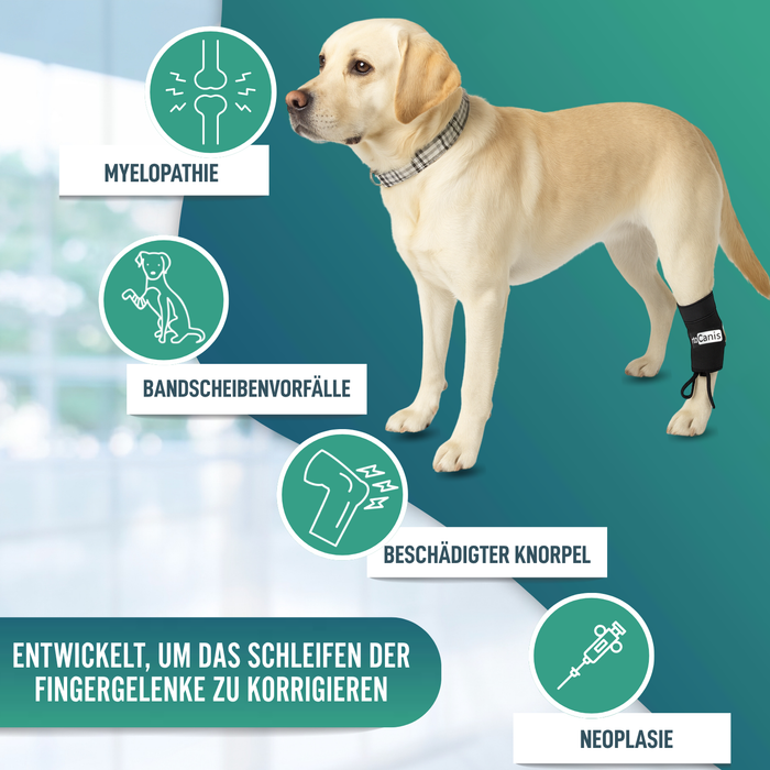 Propriozeptiver Korrektor für Hunde mit Knuckling | 5 Größen