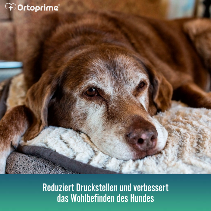 Viscoelastische Hundematratze, wasserfester Bezug | 4 Größen