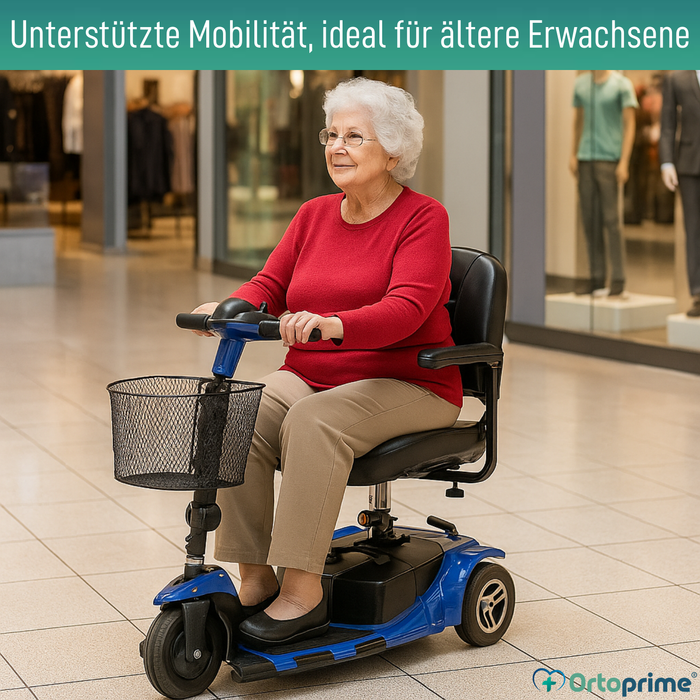 Elektrischer Scooter mit Stand Up-System | 3 Räder