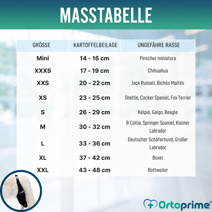 Knieimmobilisator für Hunde aus Neopren | 9 Größen