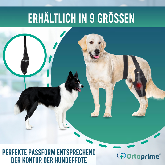 Knieimmobilisator für Hunde aus Neopren | 9 Größen