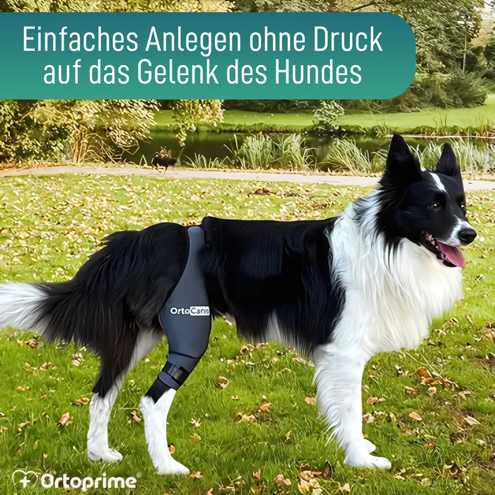 Knieimmobilisator für Hunde aus Neopren | 9 Größen