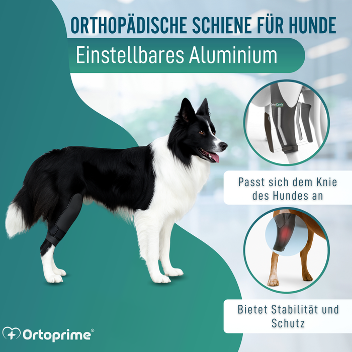 Knieimmobilisator für Hunde aus Neopren | 9 Größen