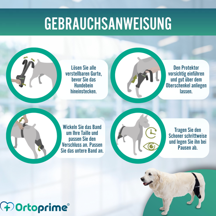 Knieimmobilisator für Hunde aus Neopren | 9 Größen