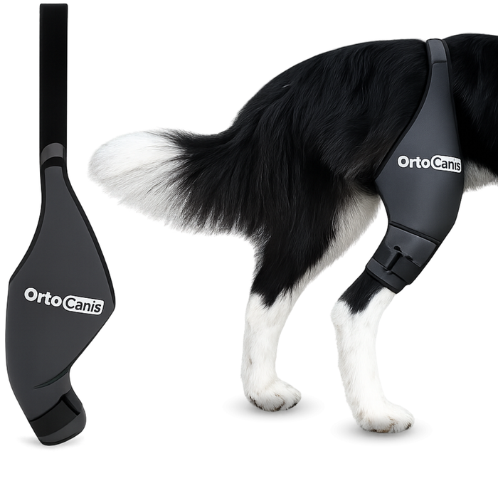 Knieimmobilisator für Hunde aus Neopren | 9 Größen