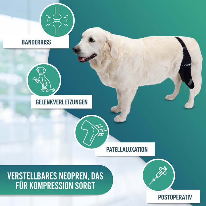 Knieimmobilisator für Hunde aus Neopren | 9 Größen