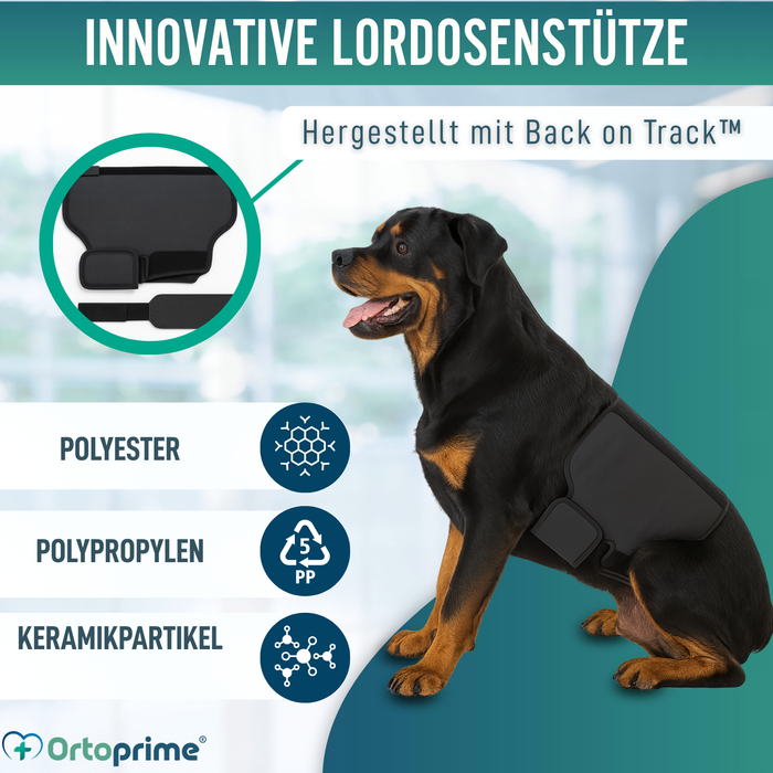 Thermischer Hundesupport Back on Track | Rückenbandage
