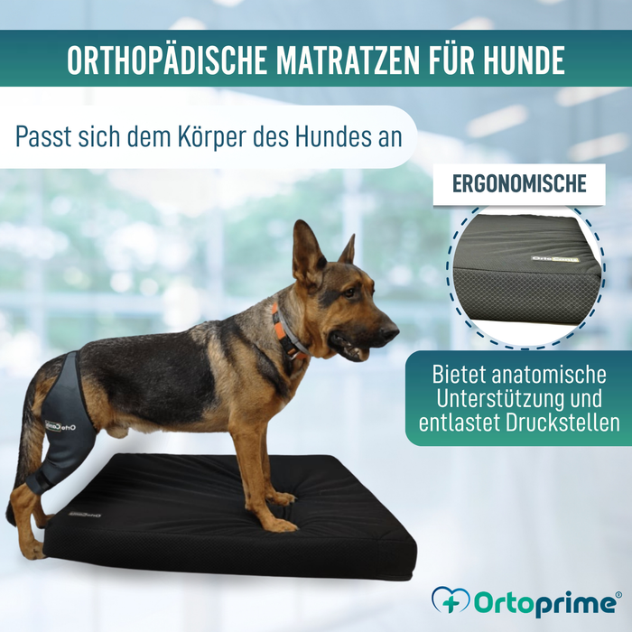 Viscoelastische Hundematratze, wasserfester Bezug | 4 Größen