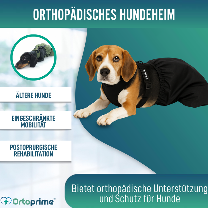 Nylonmantel für Hunde mit Bewegungseinschränkung | 6 Größen