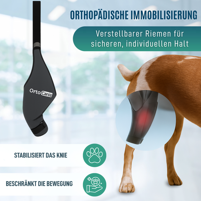 Knieimmobilisator für Hunde aus Neopren | 9 Größen