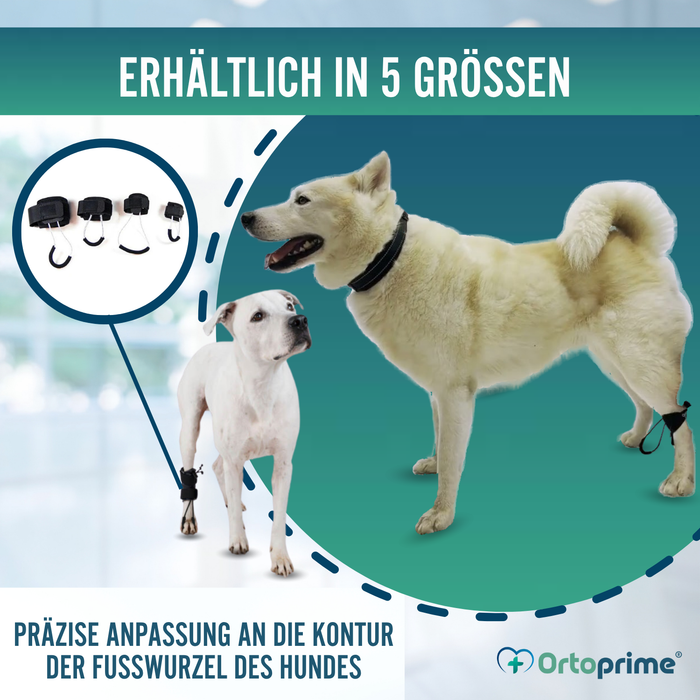 Propriozeptiver Korrektor für Hunde mit Knuckling | 5 Größen