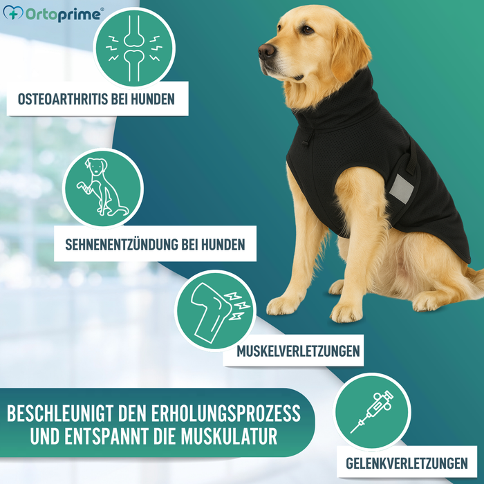Hundedecke für Hunde mit Back on Track Gewebe | 21 Größen