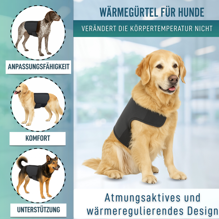Thermischer Hundesupport Back on Track | Rückenbandage