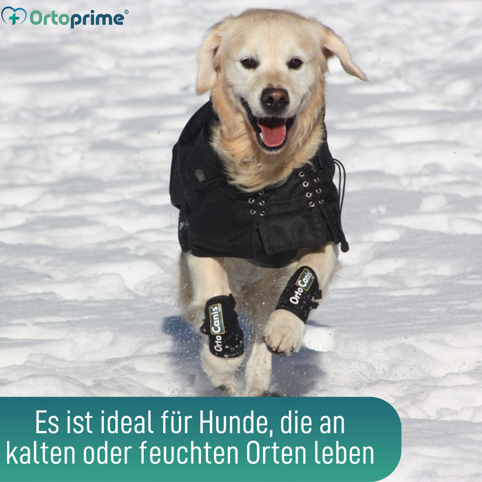 Wasserdichter Thermo-Mantel für Hunde | Back on Track