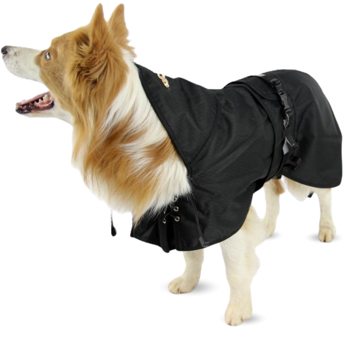 Wasserdichter Thermo-Mantel für Hunde | Back on Track