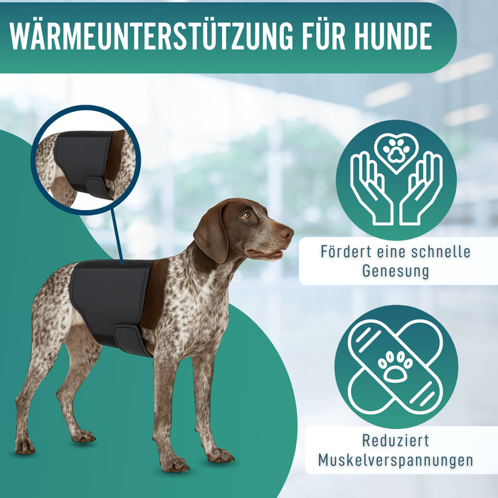 Thermischer Hundesupport Back on Track | Rückenbandage