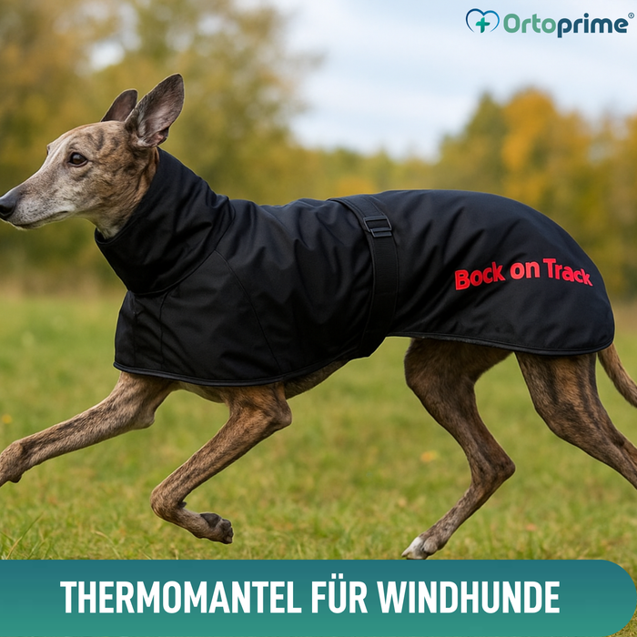 Wasserdichter Thermo-Mantel für Greyhound | 2 Größen