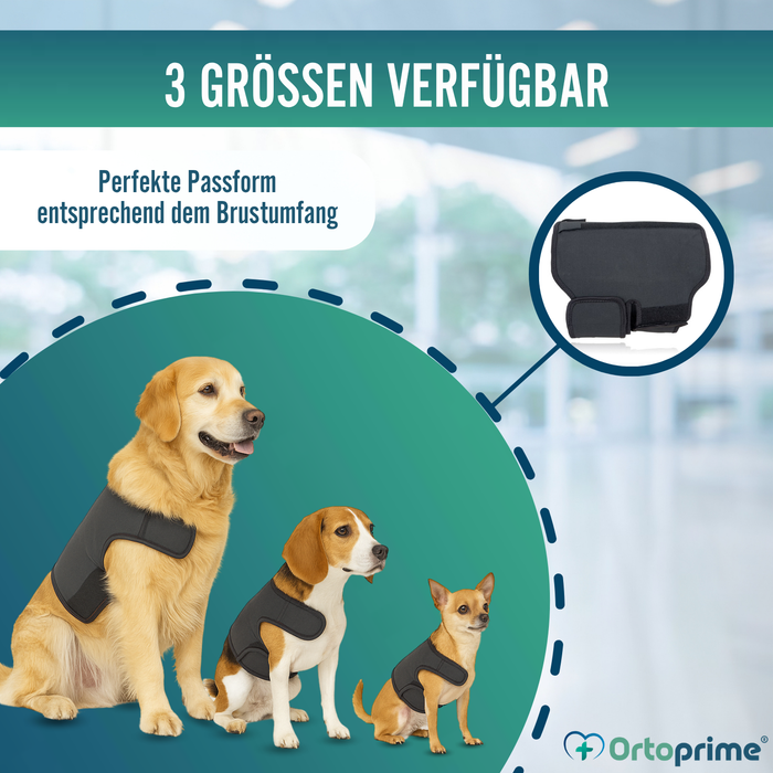 Thermischer Hundesupport Back on Track | Rückenbandage