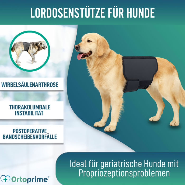 Thermischer Hundesupport Back on Track | Rückenbandage