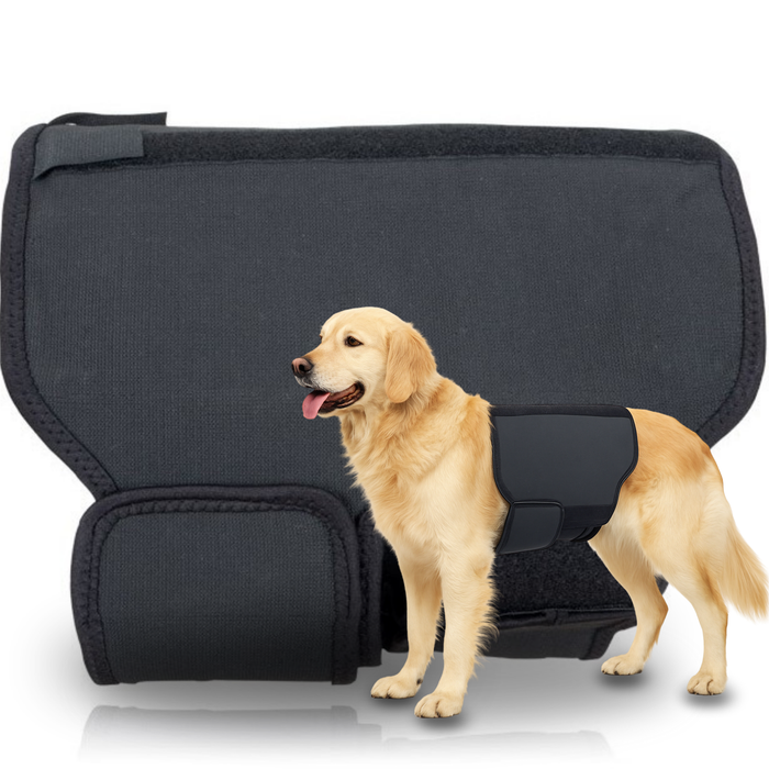 Thermischer Hundesupport Back on Track | Rückenbandage