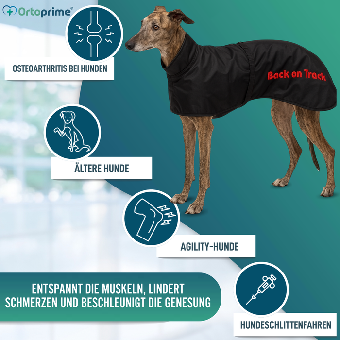 Wasserdichter Thermo-Mantel für Greyhound | 2 Größen