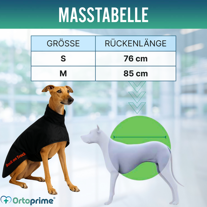 Wasserdichter Thermo-Mantel für Greyhound | 2 Größen