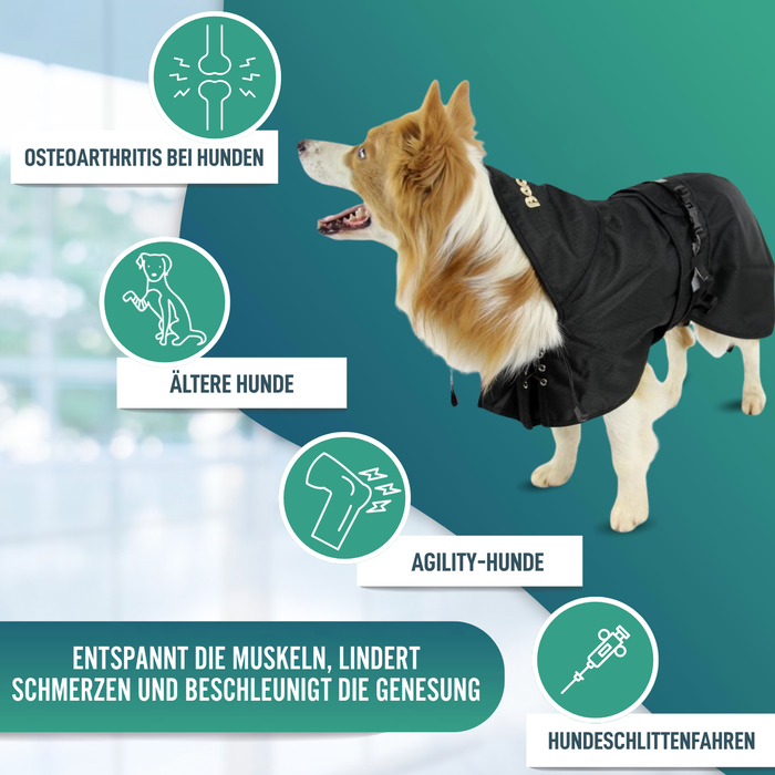 Wasserdichter Thermo-Mantel für Hunde | Back on Track