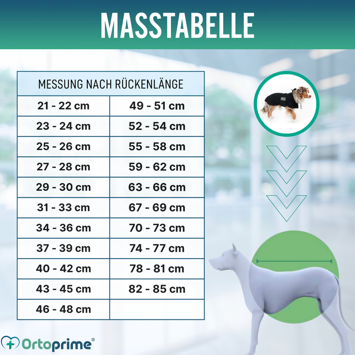 Wasserdichter Thermo-Mantel für Hunde | Back on Track