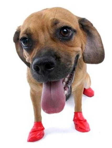 Wiederverwendbare Wasserdichte Gummistiefel für Hunde —