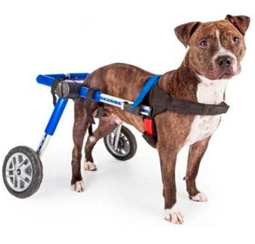 silla-de-ruedas-para-perros-grandes-ortoprime
